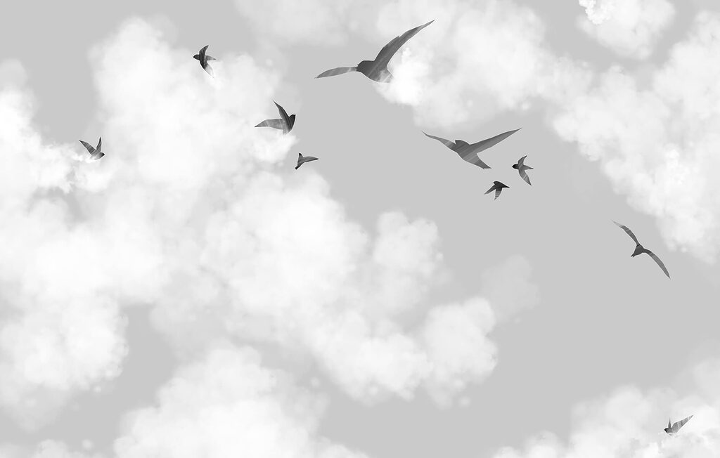 Pájaros entre nubes blancas — diseño completo