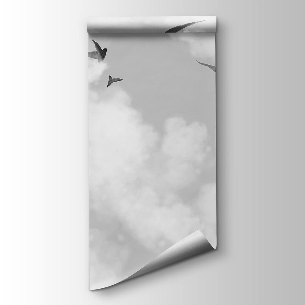 Pájaros entre nubes blancas — vista del producto