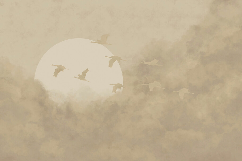 Aves y sol pálido — diseño completo