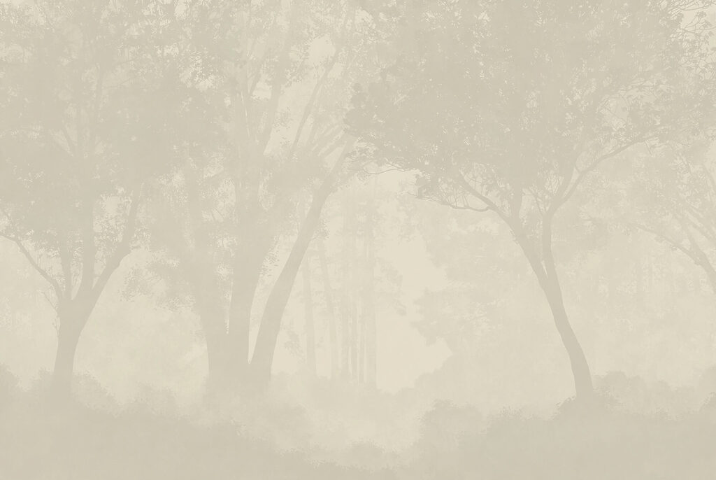 Bosque suave en neblina — diseño completo