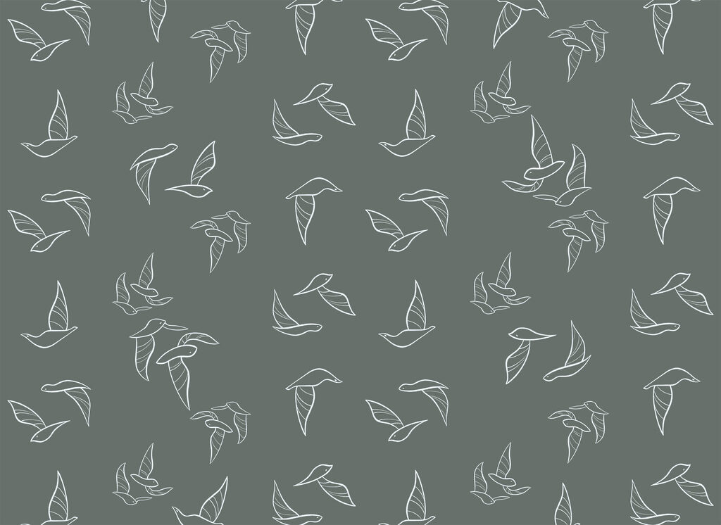 Contornos de aves — diseño completo