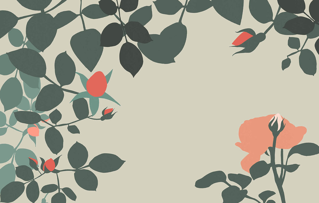 Marco de capullos rosas — diseño completo