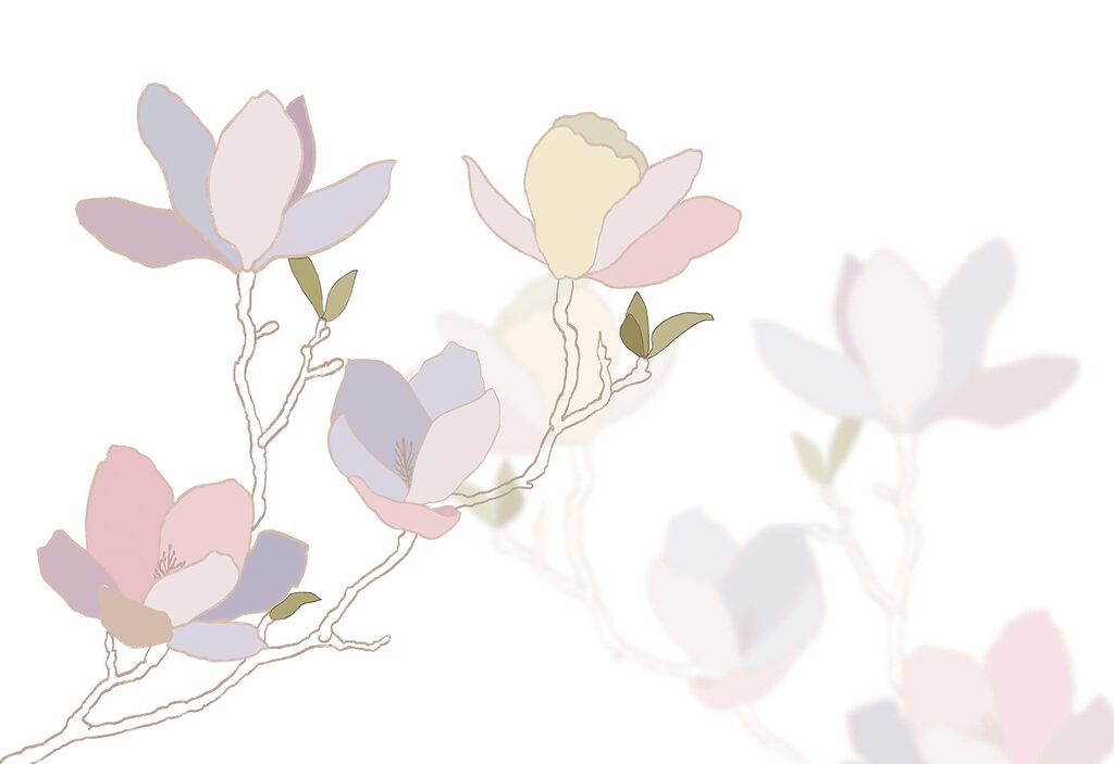 Magnolias sobre fondo blanco — diseño completo
