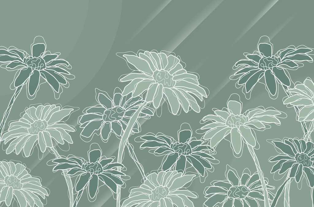 Contornos florales blancos — diseño completo