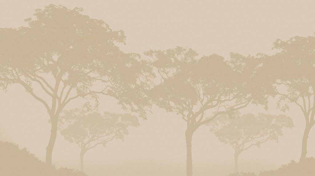 Copas en niebla cálida — diseño completo