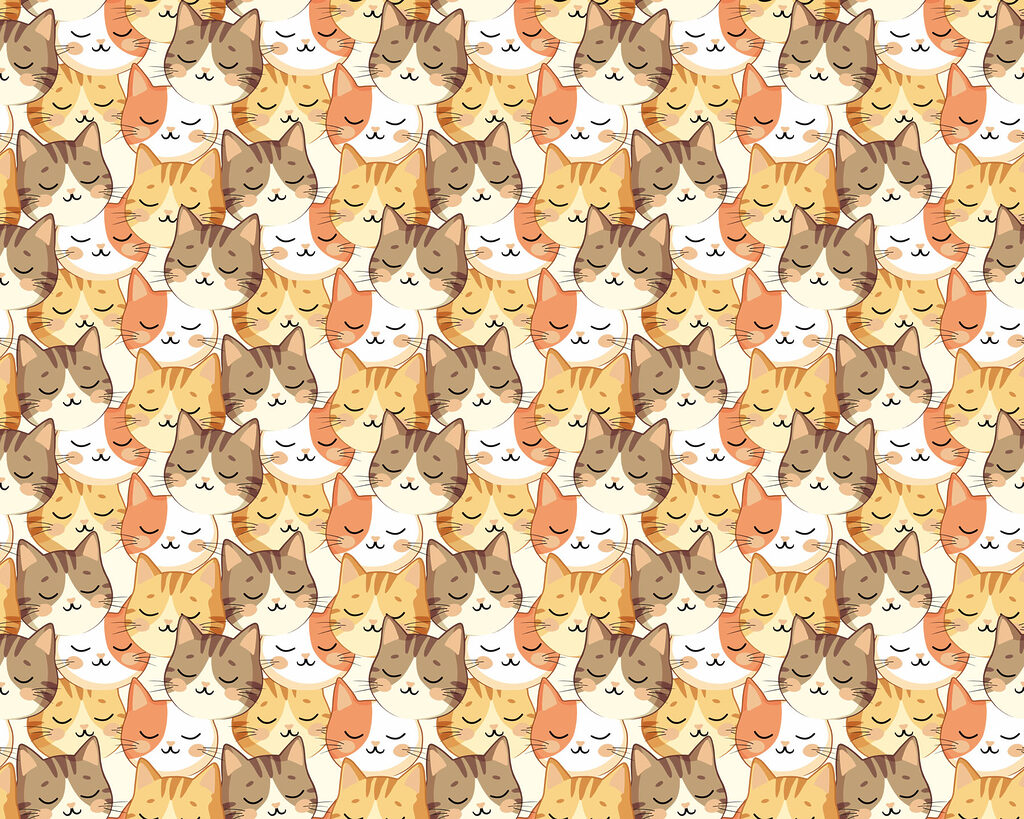 Cabecitas de gato — diseño completo