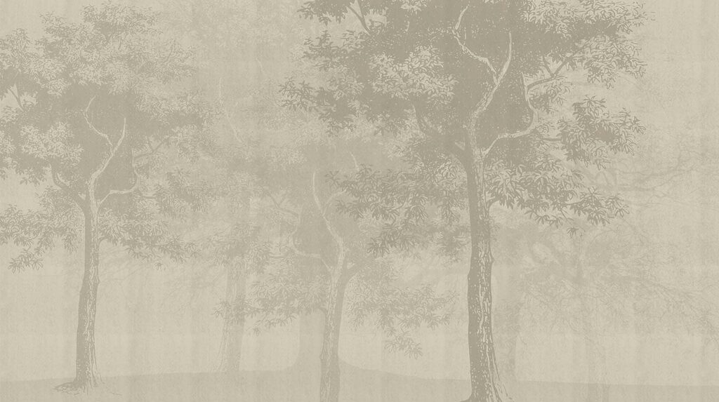 Bosque tras la niebla — diseño completo