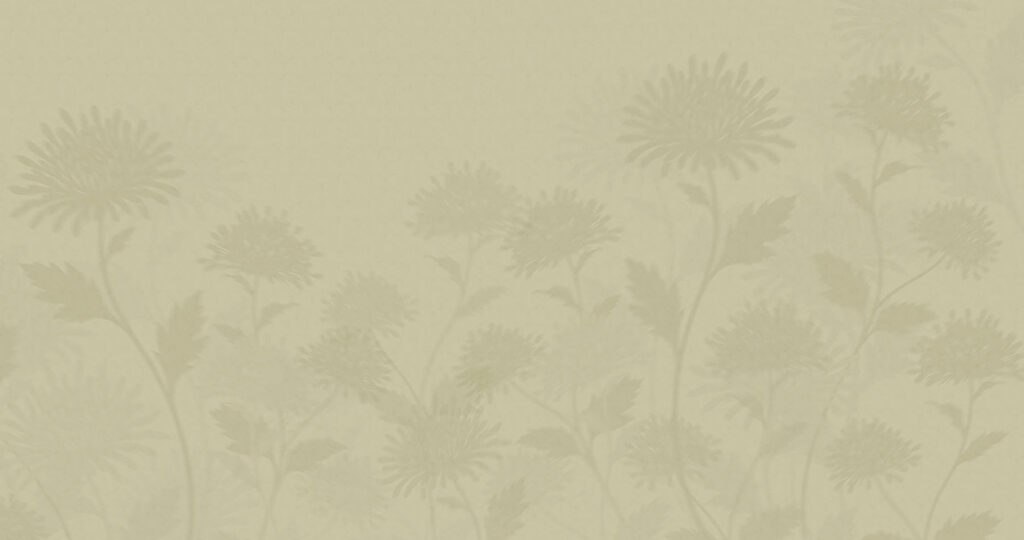 Sombras florales difuminadas — diseño completo
