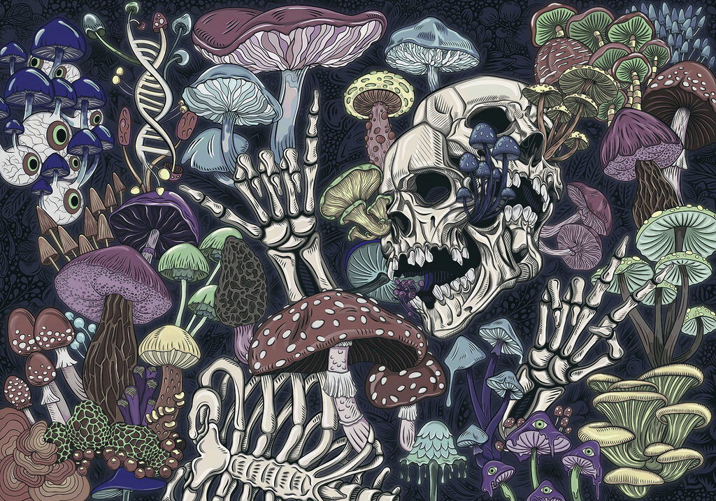 Calavera entre setas oscuras — diseño completo