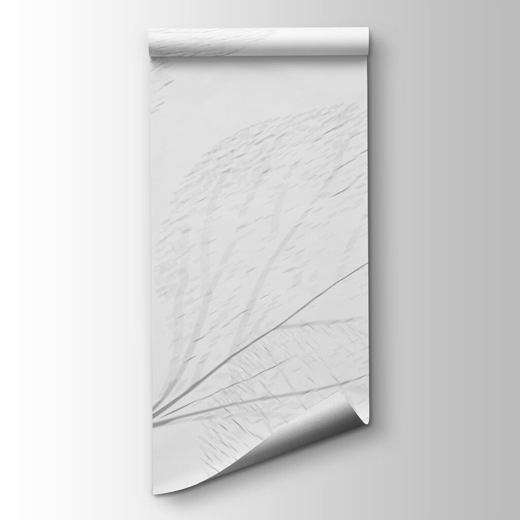 Ramitas sobre blanco — vista del producto