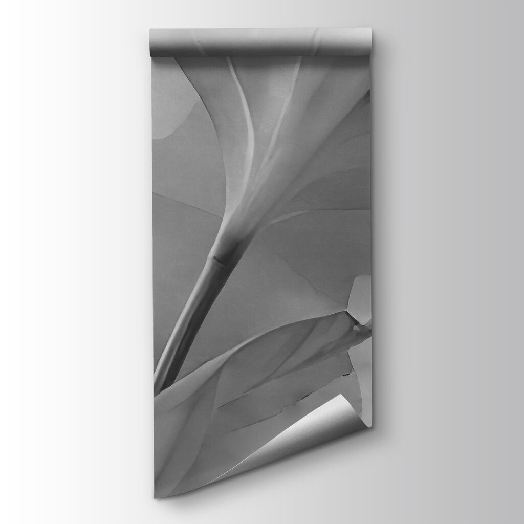 Hoja fina entre transparencias — vista del producto