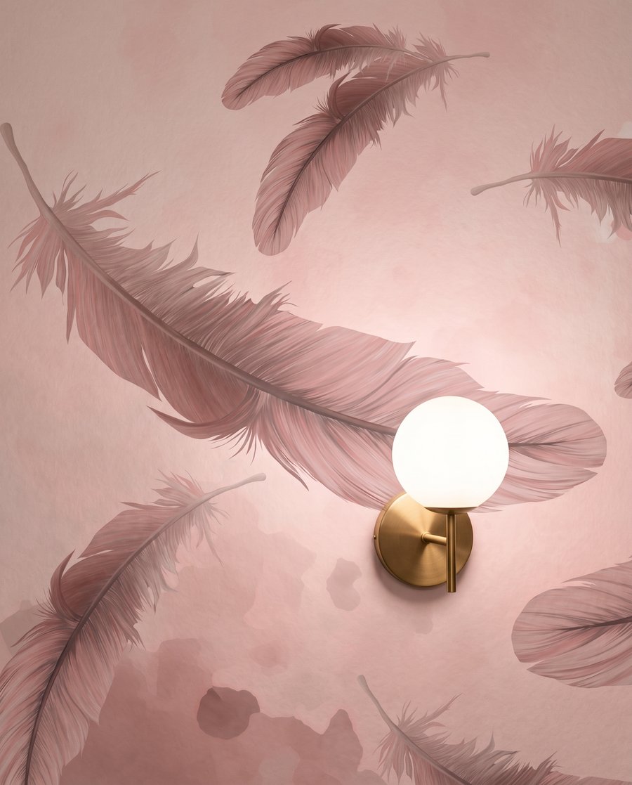 Plumas claras y oscuras — detalle