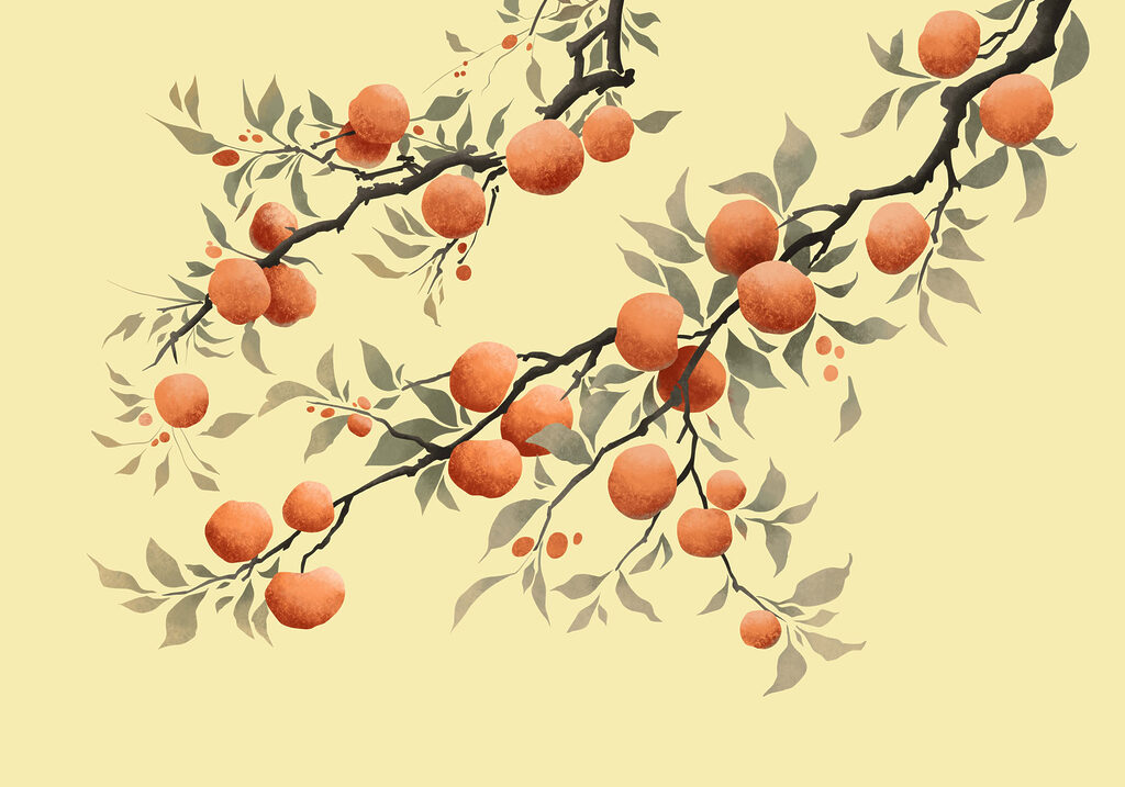 Naranjas en ramas curvas — diseño completo