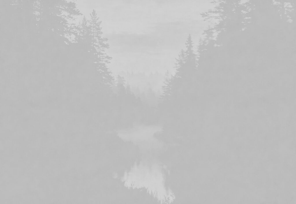 Bosque que se desvanece — diseño completo