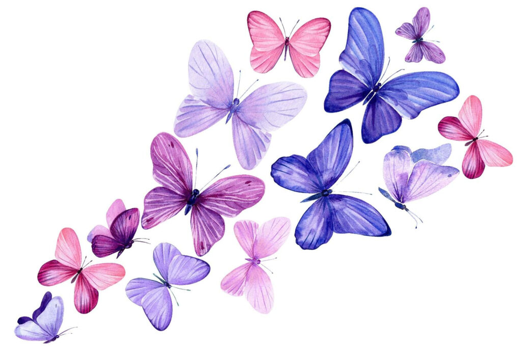 Mariposas en abanico — diseño completo