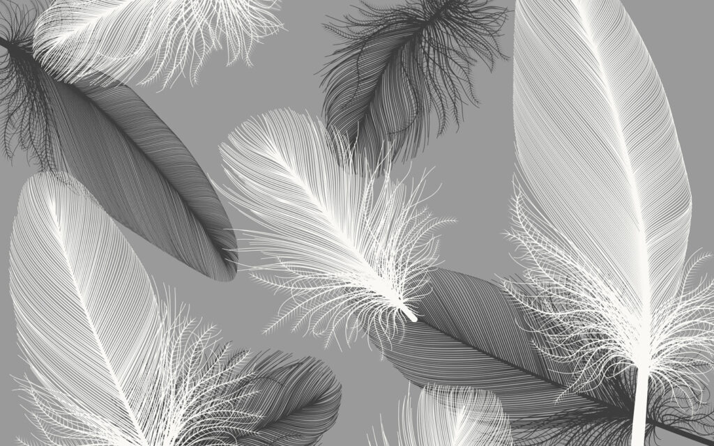 Plumas flotando en gris — diseño completo