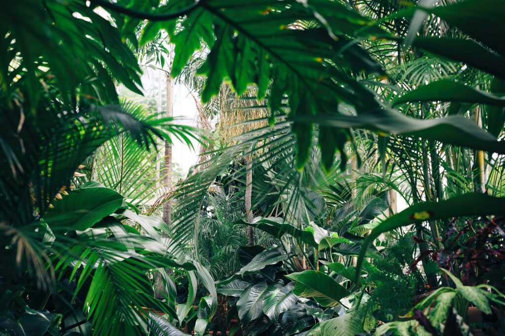 Hojas verdes de selva — diseño completo