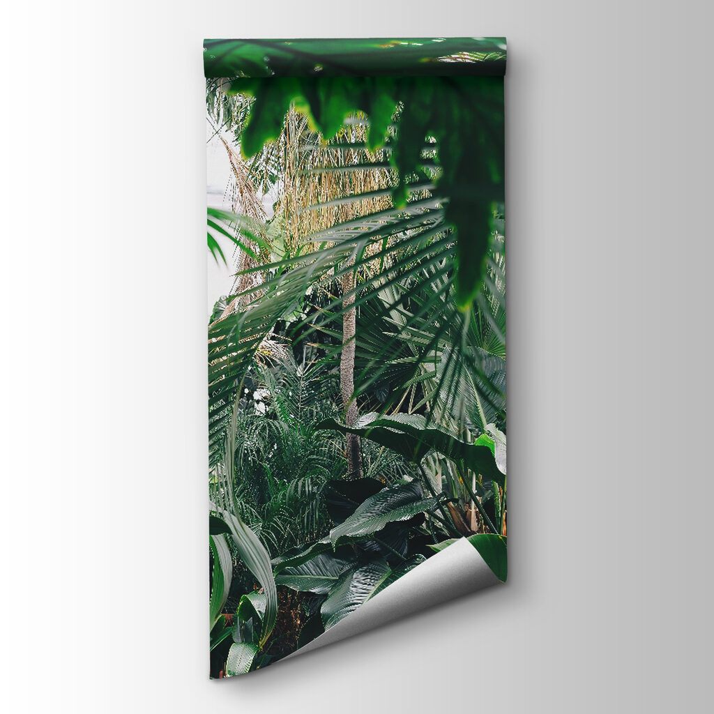 Hojas verdes de selva — vista del producto