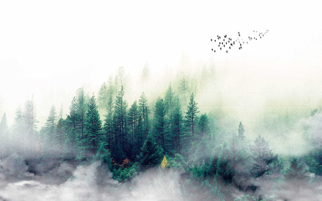 Cielo amplio sobre pinos — diseño completo