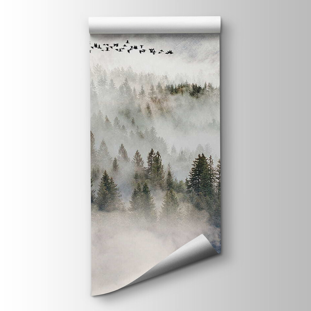 Aves sobre la niebla — vista del producto
