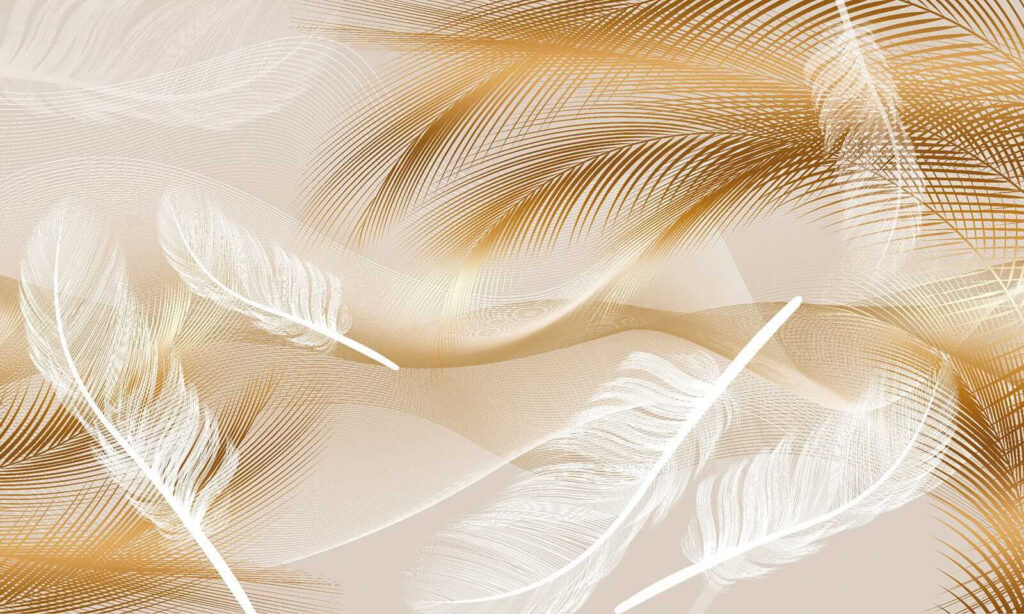 Plumas bajo luz cálida — diseño completo