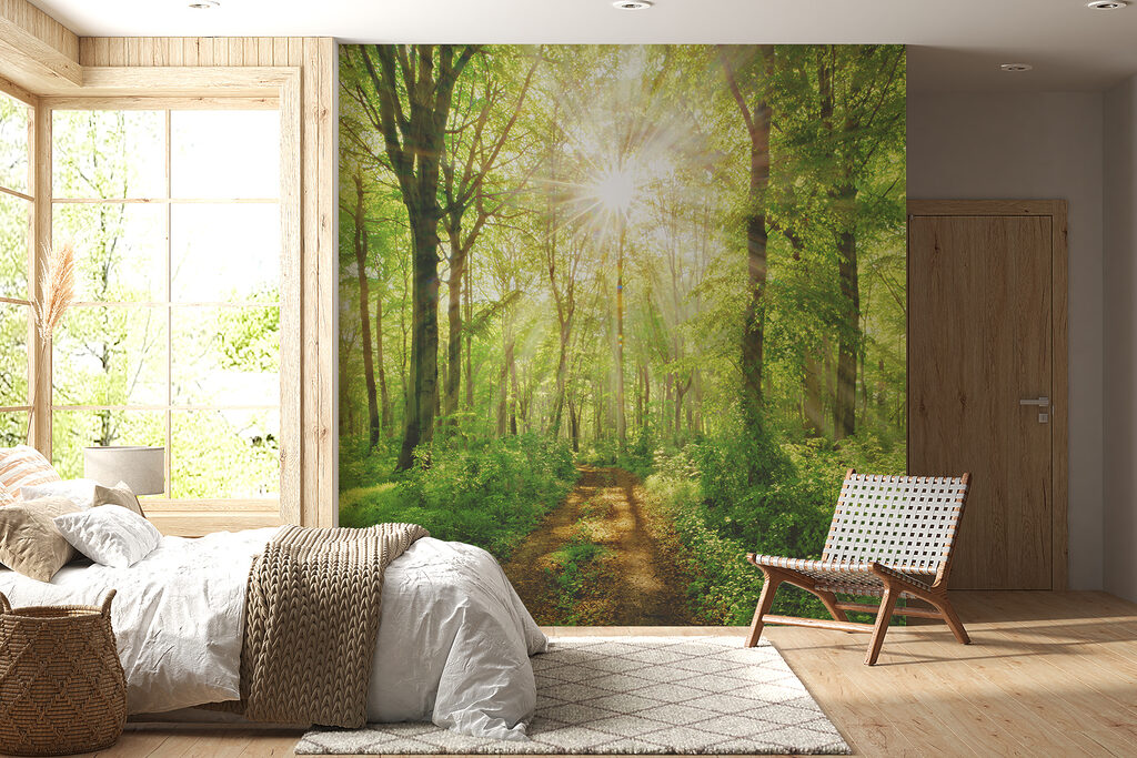 Luz sobre el sendero — interior 7