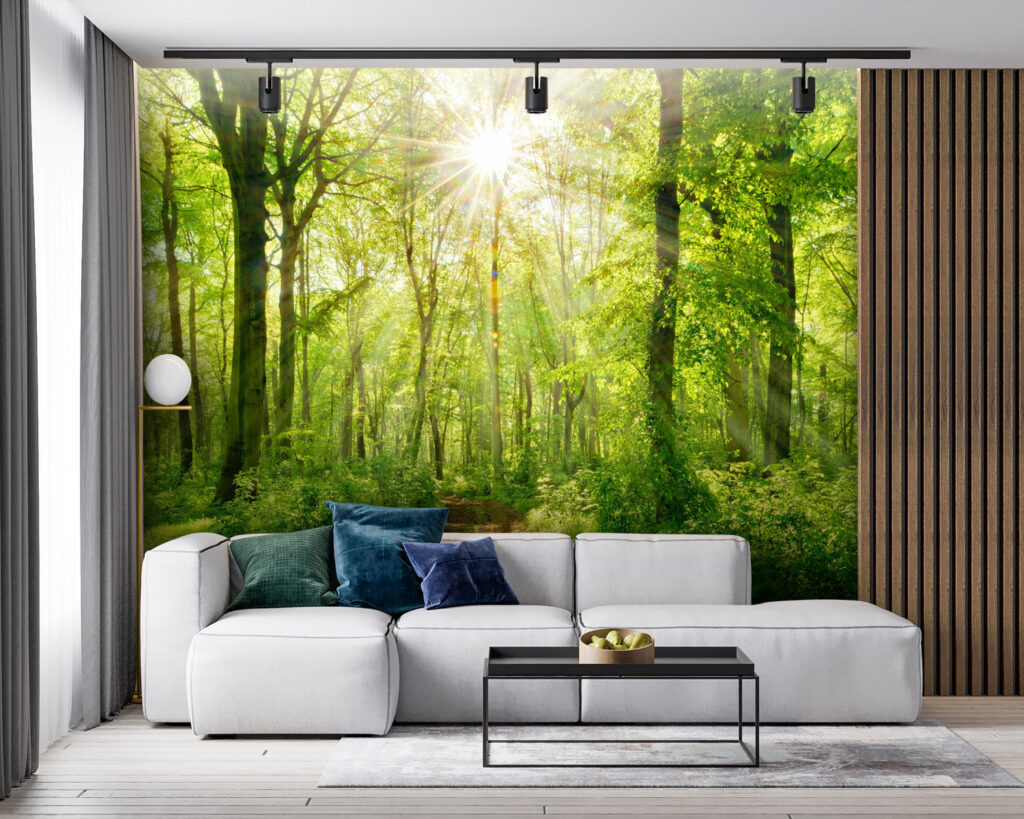 Luz sobre el sendero — interior 3