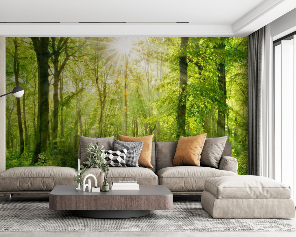 Luz sobre el sendero — interior 4