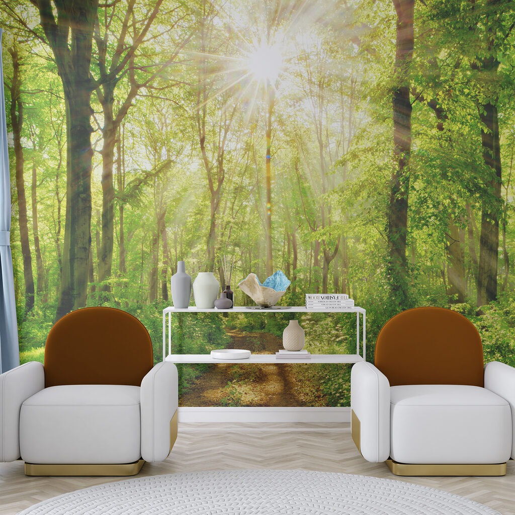 Luz sobre el sendero — interior 6