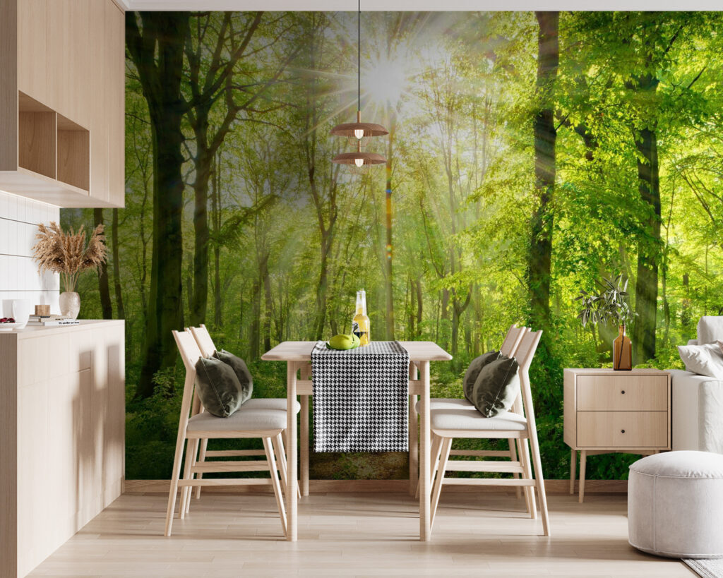 Luz sobre el sendero — interior 5