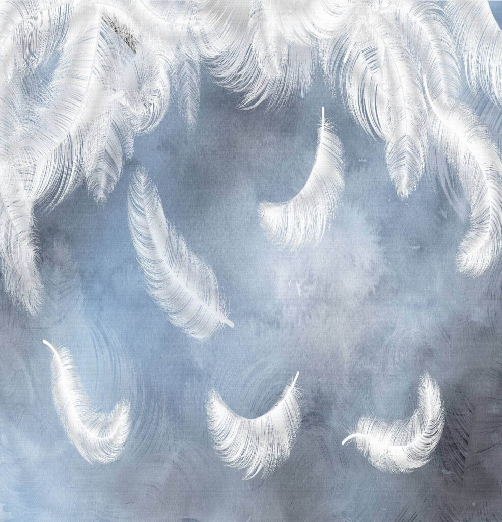 Plumas blancas sobre azul — diseño completo