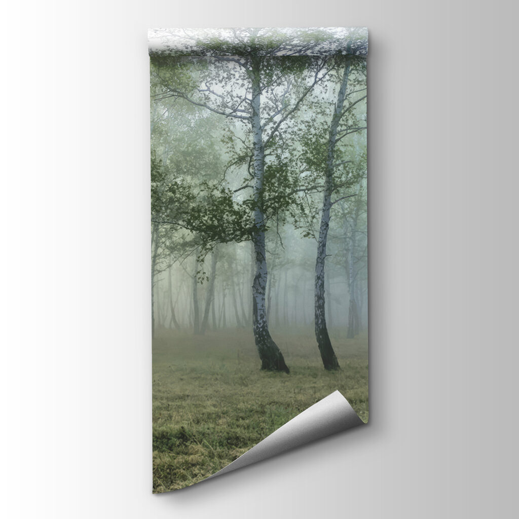 Abedules en la niebla — vista del producto