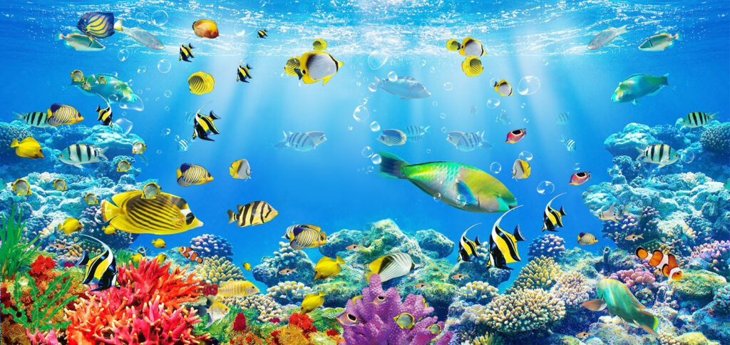 Peces bajo rayos azules — diseño completo