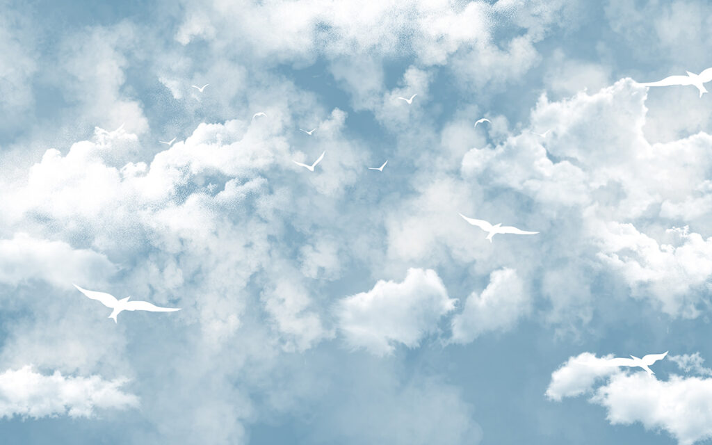 Pájaros blancos entre nubes — diseño completo