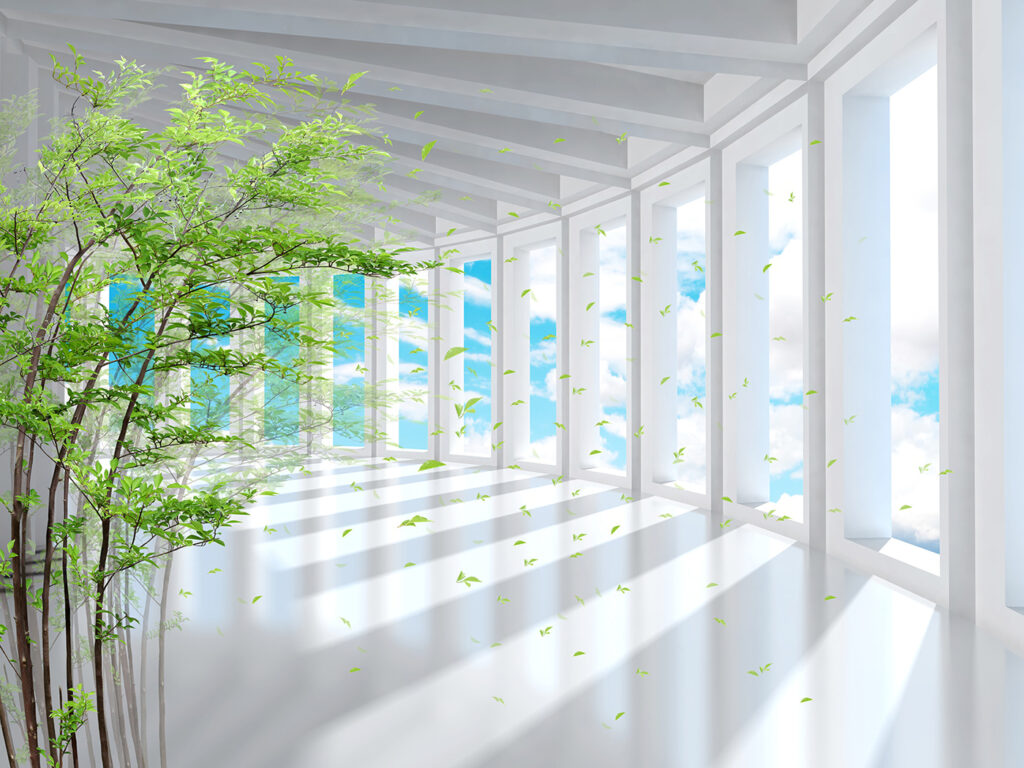 Bambú en pasillo luminoso — diseño completo