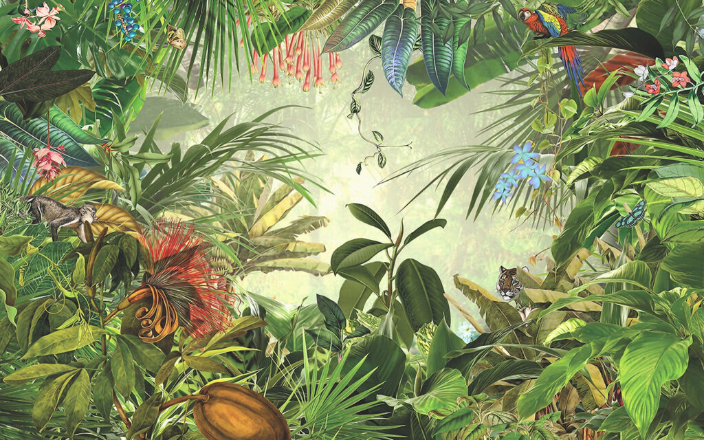 Selva densa y luz — diseño completo