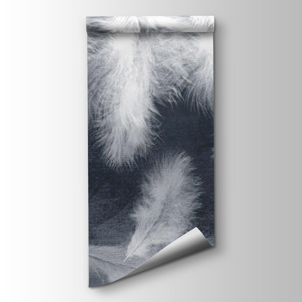 Plumas blancas sobre gris — vista del producto