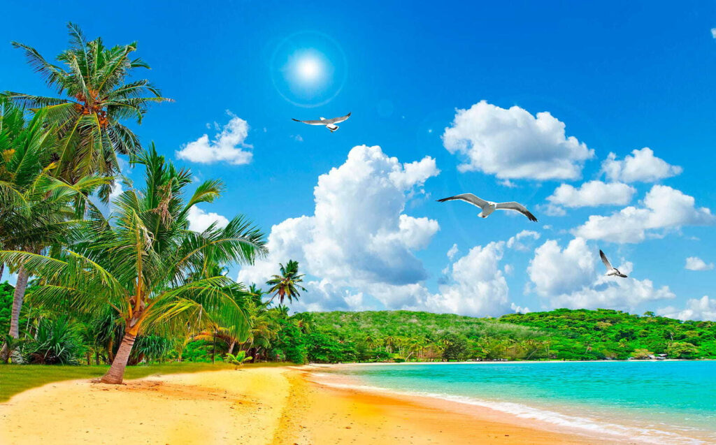 Playa soleada con palmeras — diseño completo