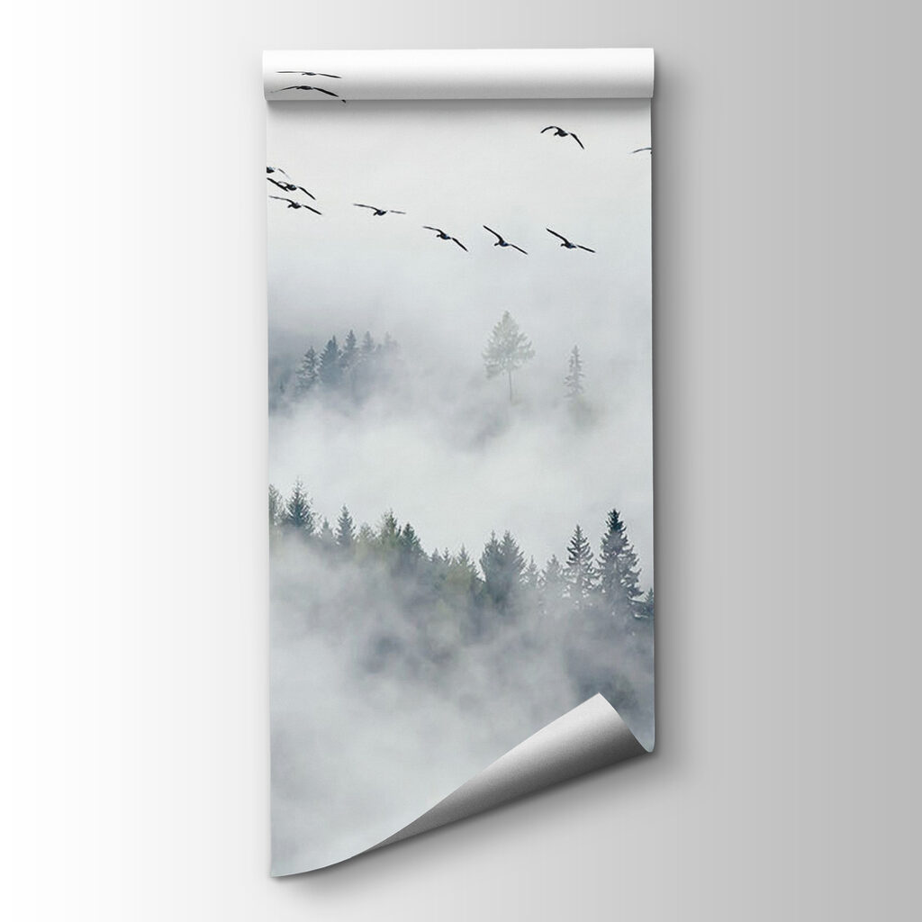 Bosque entre nubes blancas — vista del producto