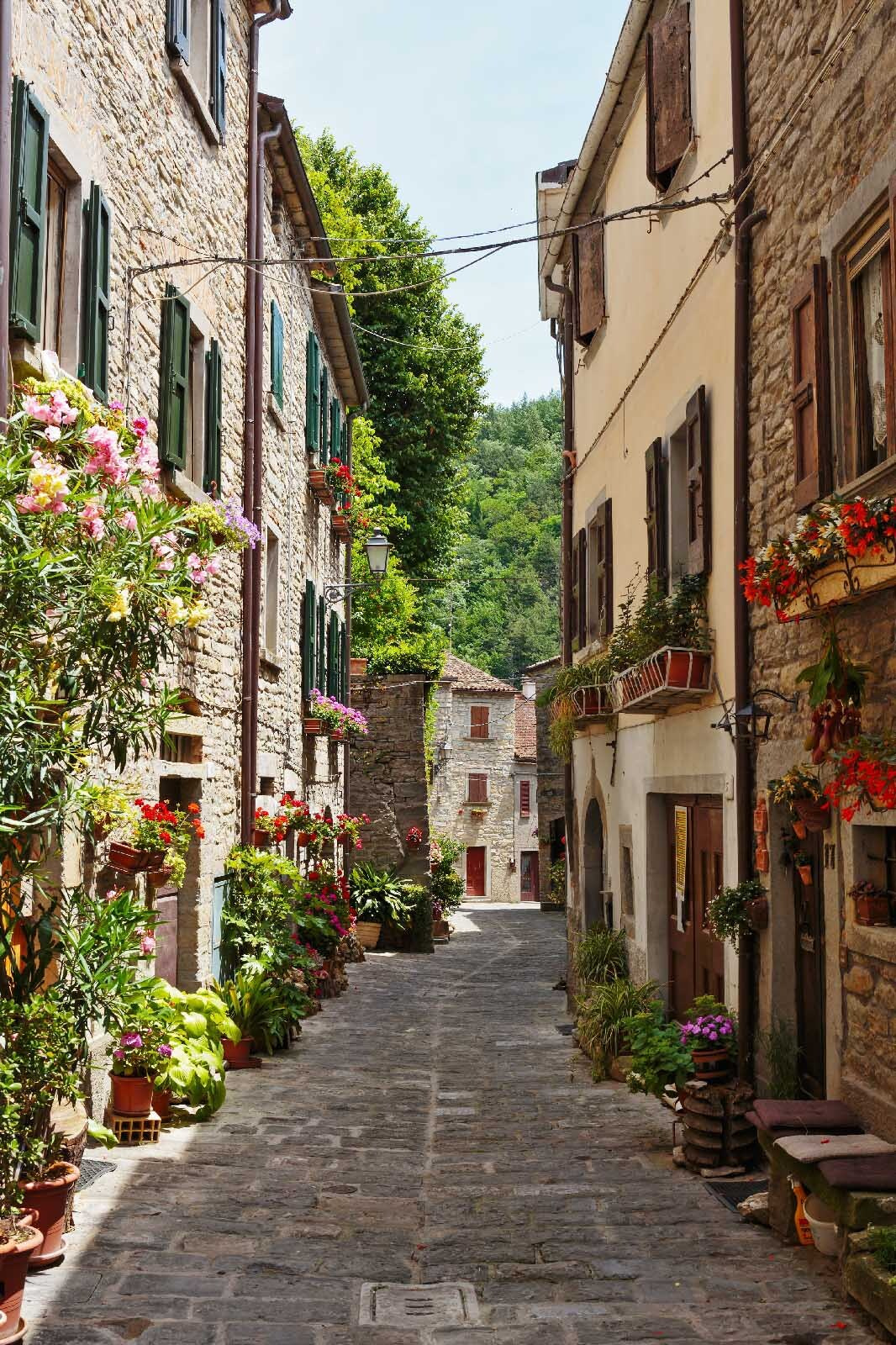 Callejón con flores — diseño completo