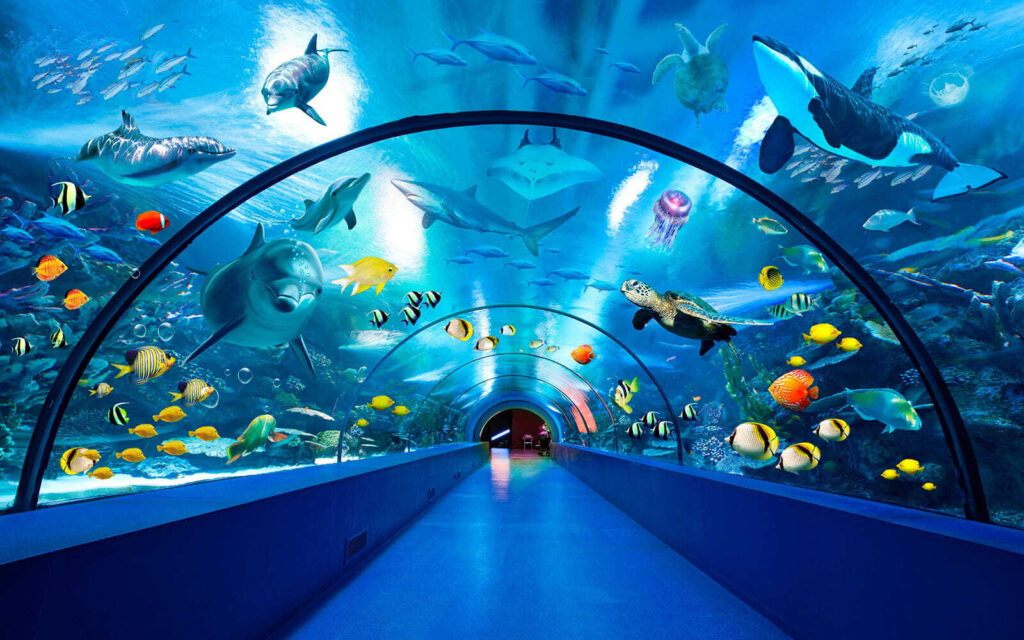 Túnel bajo el agua — diseño completo