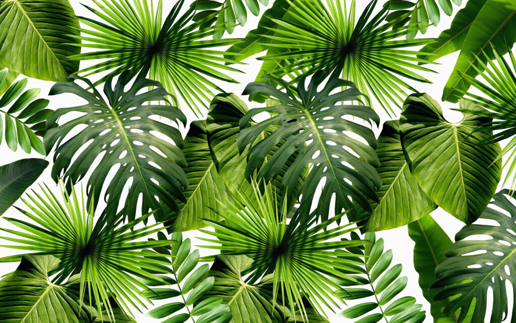 Hojas verde primavera — diseño completo