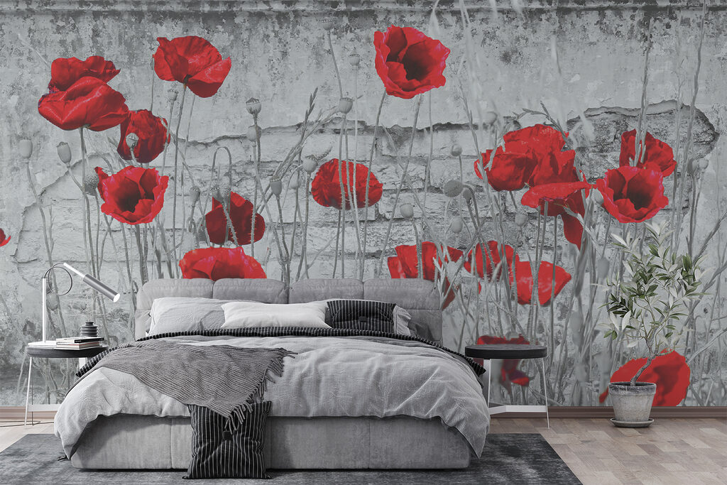 Amapolas contra muro gris — interior 4