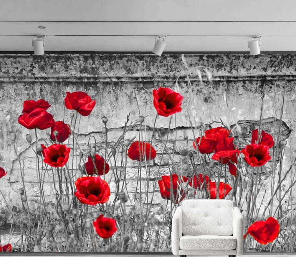 Amapolas contra muro gris — interior 2
