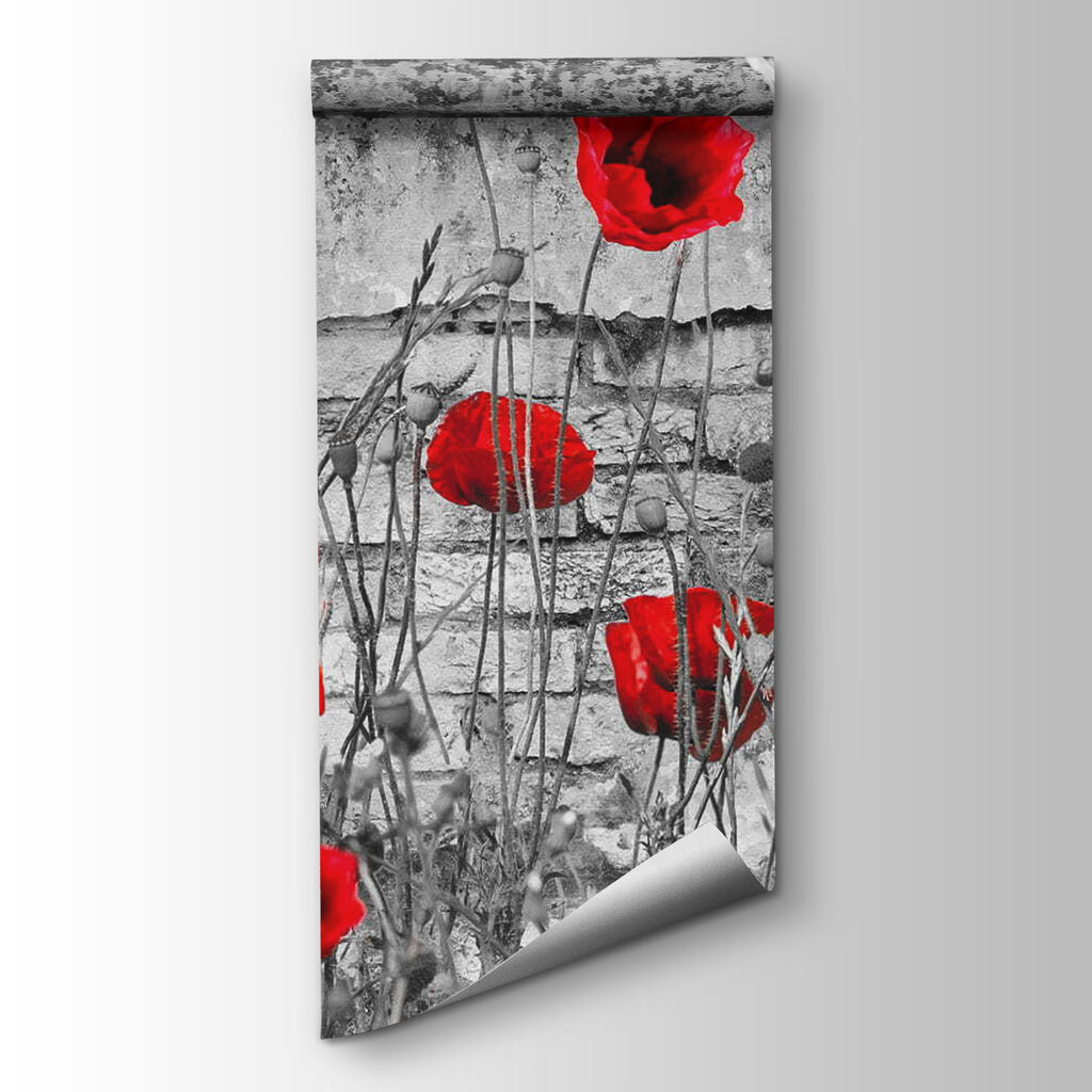 Amapolas contra muro gris — vista del producto