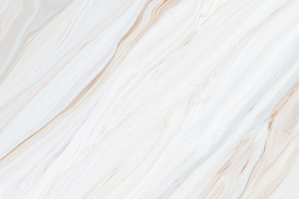 Vetas sobre blanco — diseño completo