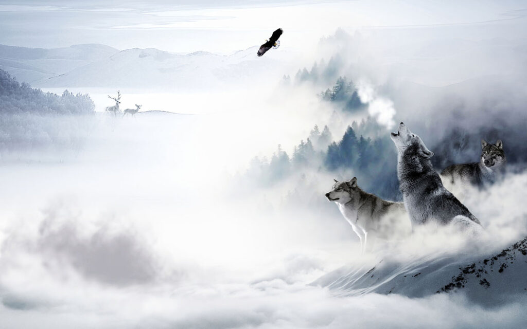 Lobos sobre la nieve — diseño completo