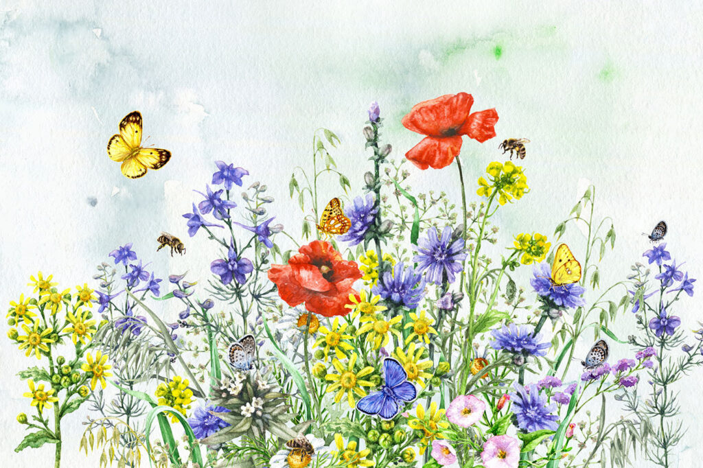 Campo de flores coloridas — diseño completo