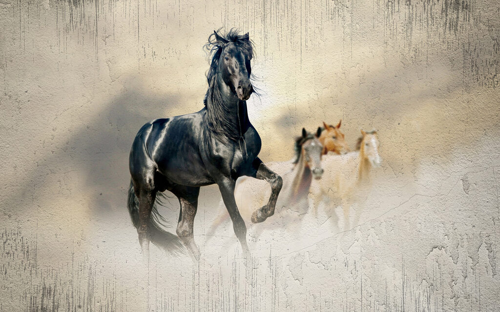Caballos en la luz — diseño completo