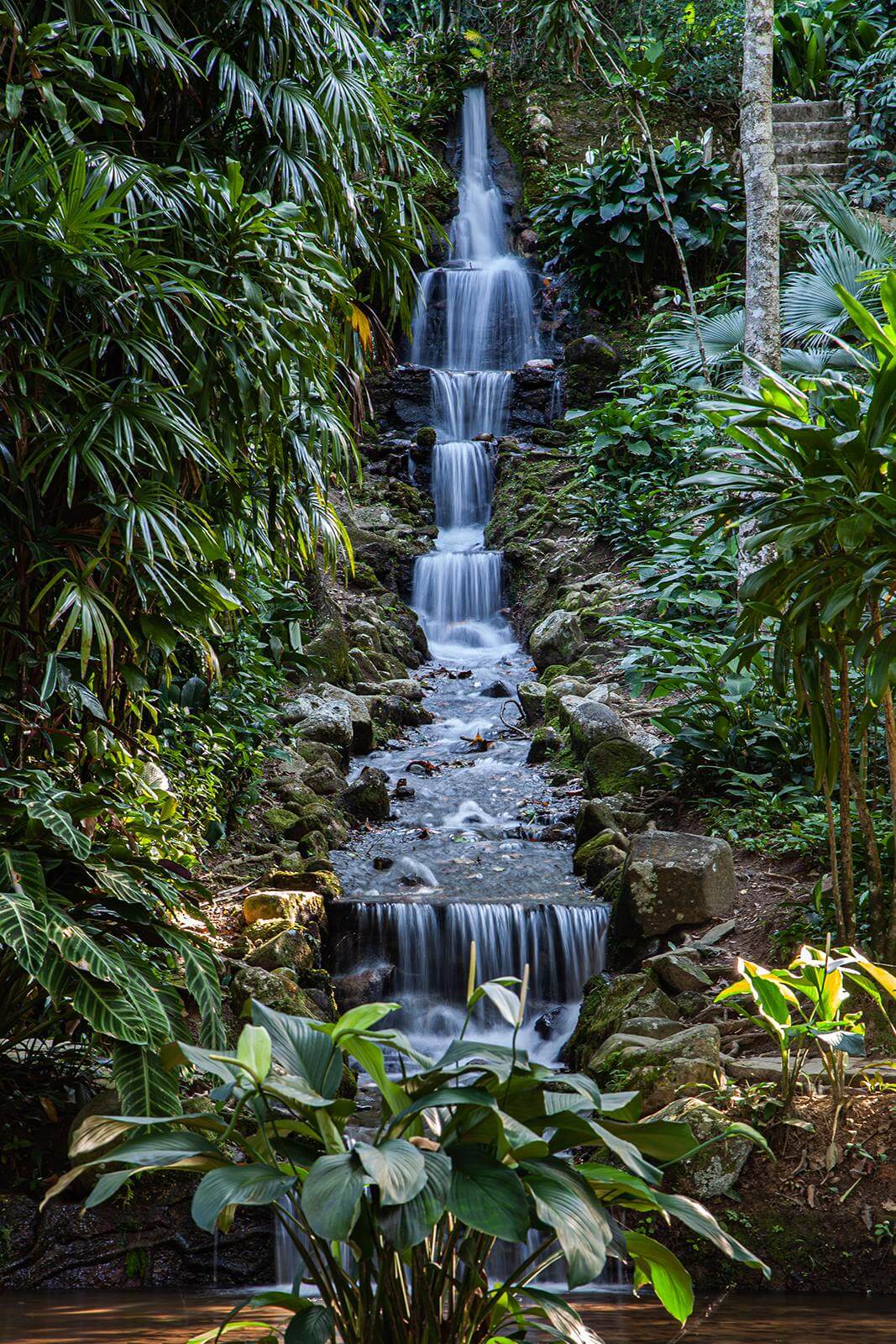 Cascada entre la selva — diseño completo